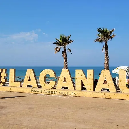 Oceanides - Classe 2 En Duplex Belle Vue Ocean, 1 Chambre, 4 Couchages, Ocean Mae-0551 Lacanau